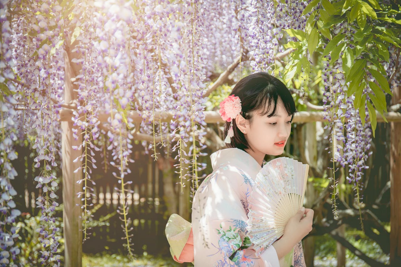 Asian woman in kimono holding a hand fan under blooming wisteria in sunlight.